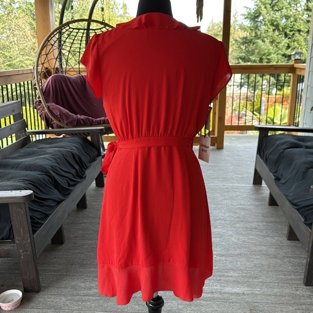 Aritzia Sunday Best | Savoy Dress - Picture 7 of 11